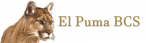 El Puma BCS